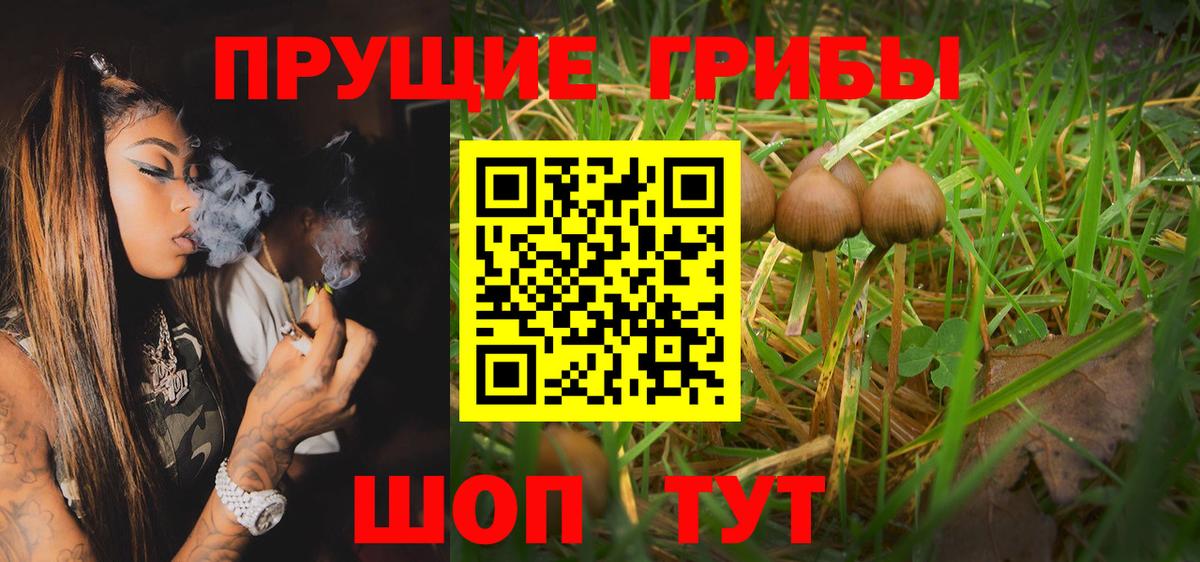 Галлюциногенные грибы GOLDEN TEACHER Орск