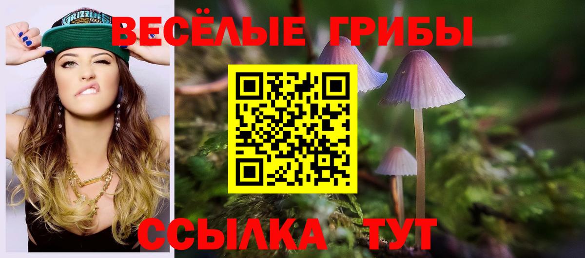 Псилоцибиновые грибы ЛСД  Вход с VPN  Орск 